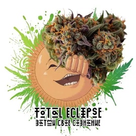 Бошки Total Eclipse